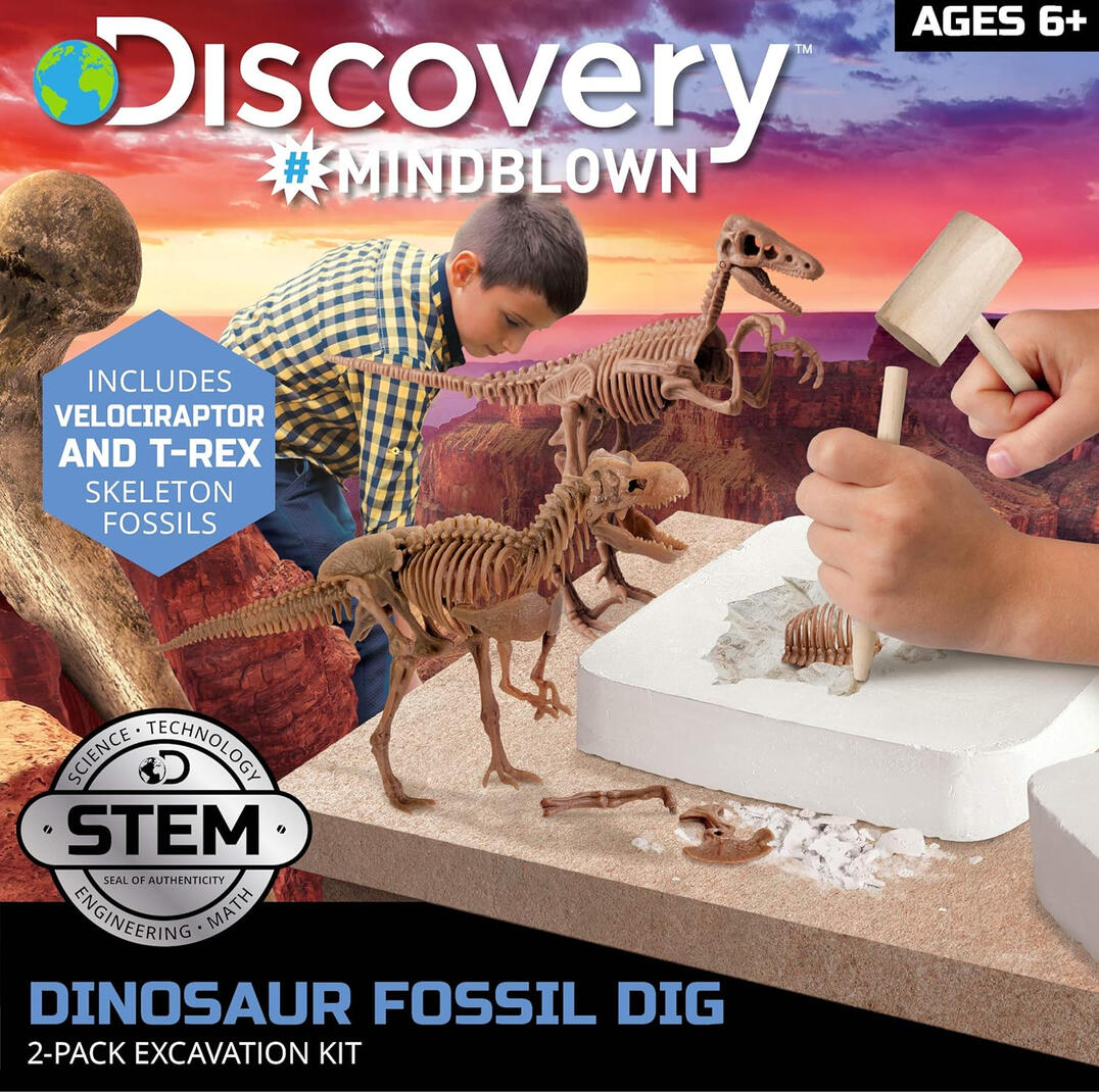Dinosaur Excavation Kit